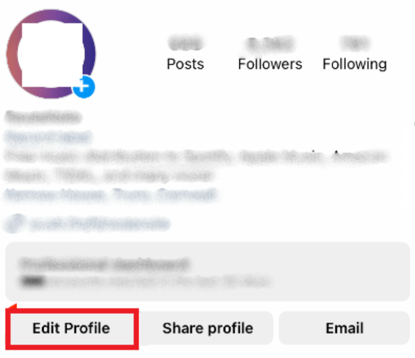 How to Add Multiple Links in Instagram Bio - Select Edit Profile option