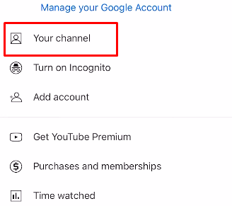 How to Add YouTube Link on Instagram Bio - Select Your Channel